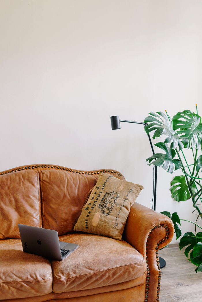 Comfortable leather couch with netbook and cushion near plant and white wall in house